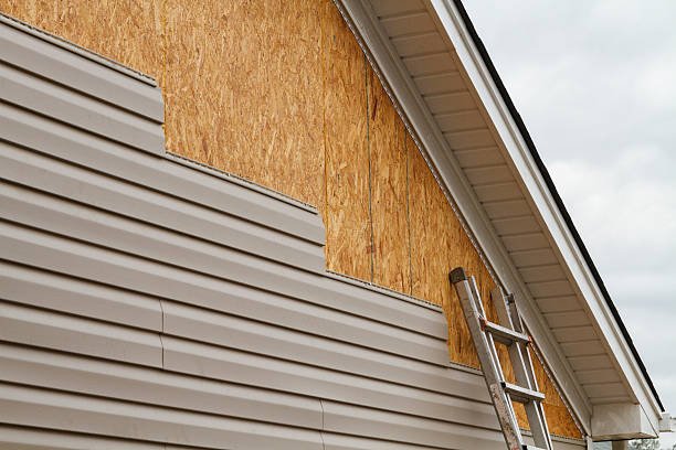 Affordable siding repair and maintenance services in Canfield, OH